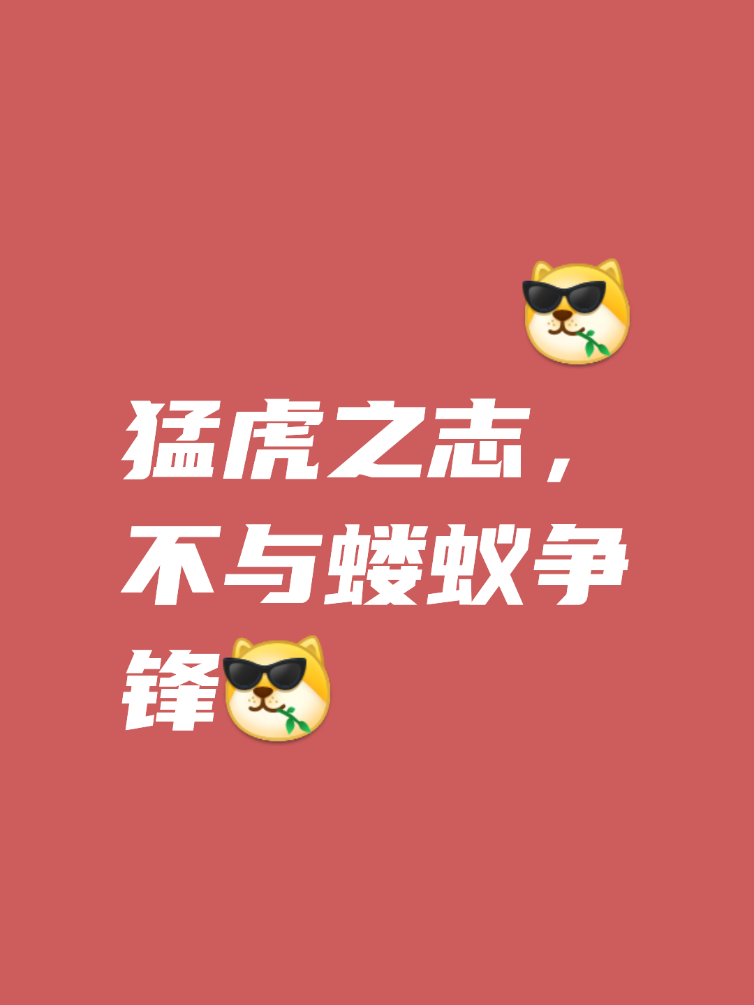 豪门之争激烈展开，斗志昂扬不畏强手